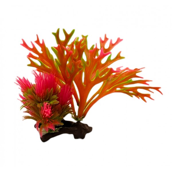 ΔΙΑΚΟΣΜΗΤΙΚΟ ΦΥΤΟ ΕΝΥΔΡΕΙΟΥ 9Χ19CM